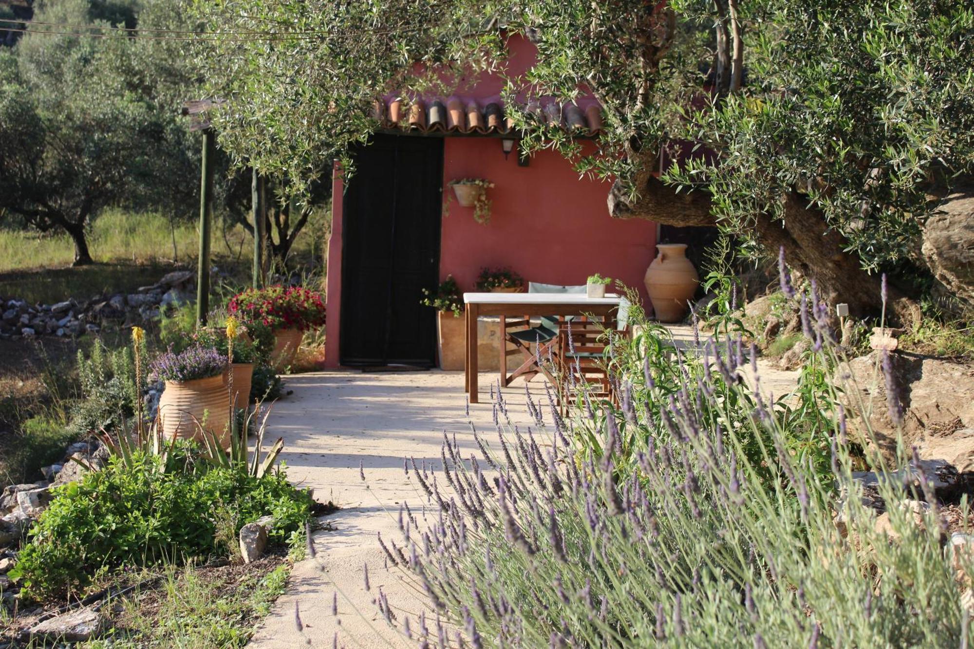 Orgon Farm Traditional Houses Apostoli 外观 照片